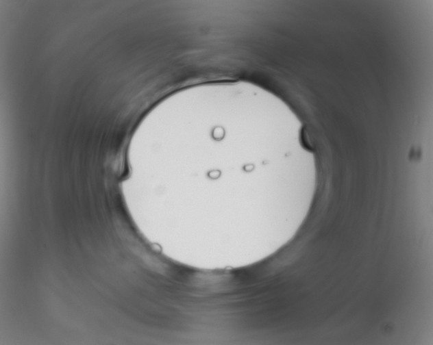 X0000115200480200911251448