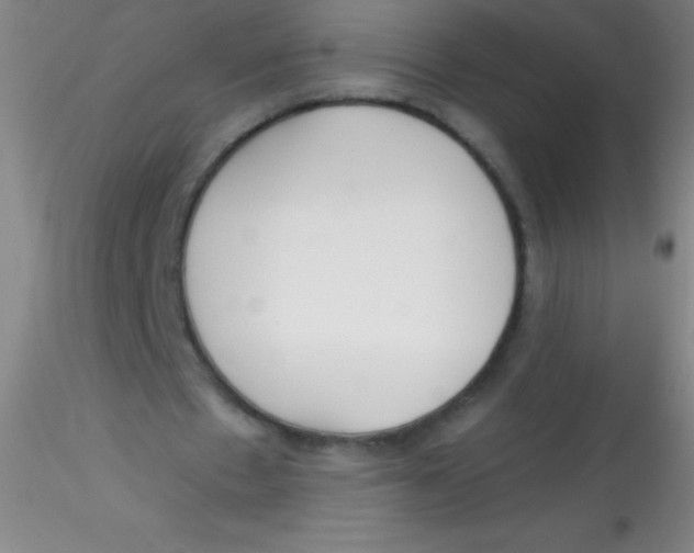 X0000115200481200911251447