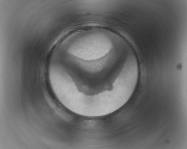 X0000115200482200911251447