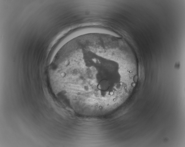 X0000115200483200911251447