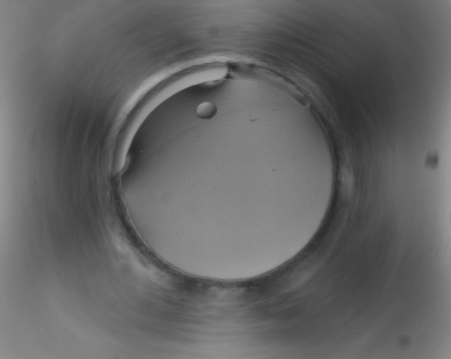 X0000115200484200911251447