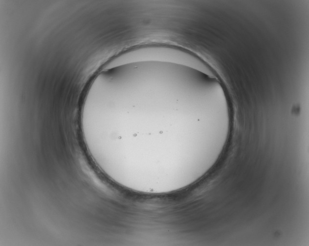 X0000115200485200911251447