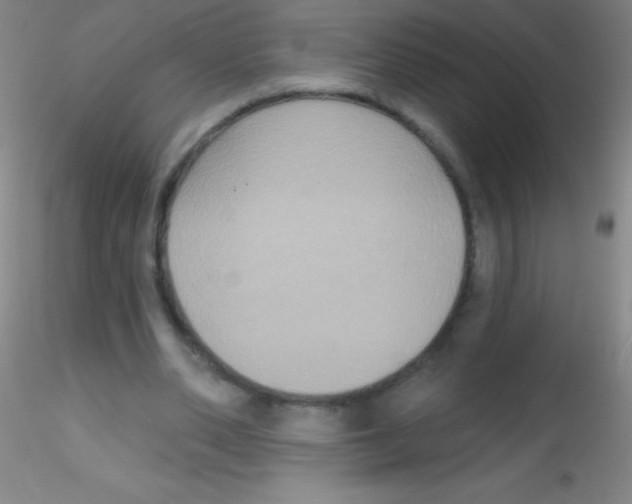 X0000115200486200911251447