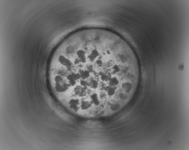 X0000115200487200911251447