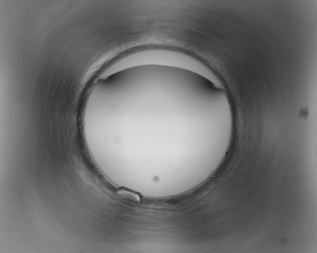 X0000115200488200911251446