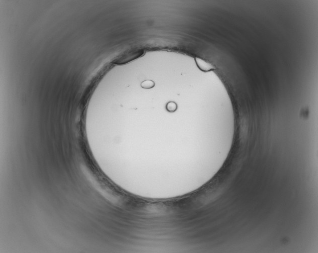 X0000115200490200911251446