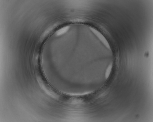 X0000115200491200911251446