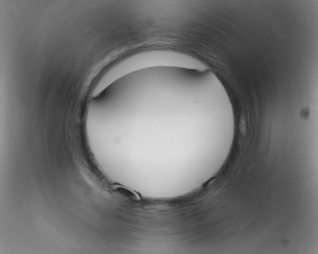 X0000115200492200911251446