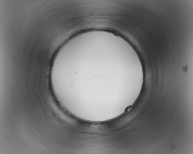 X0000115200493200911251446