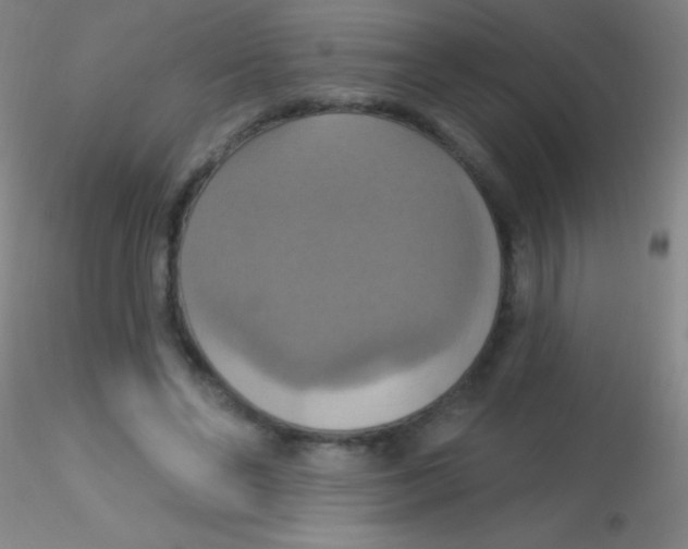X0000115200494200911251446
