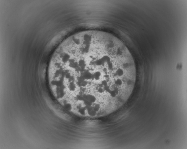 X0000115200495200911251446