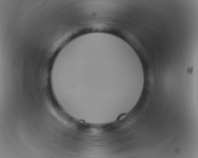 X0000115200496200911251446