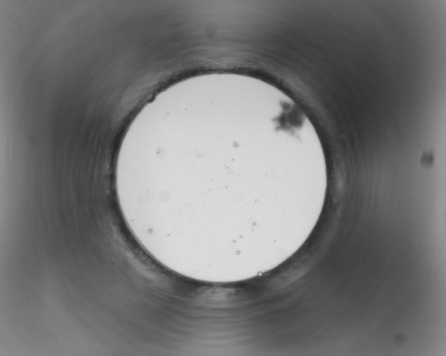 X0000115200497200911251446