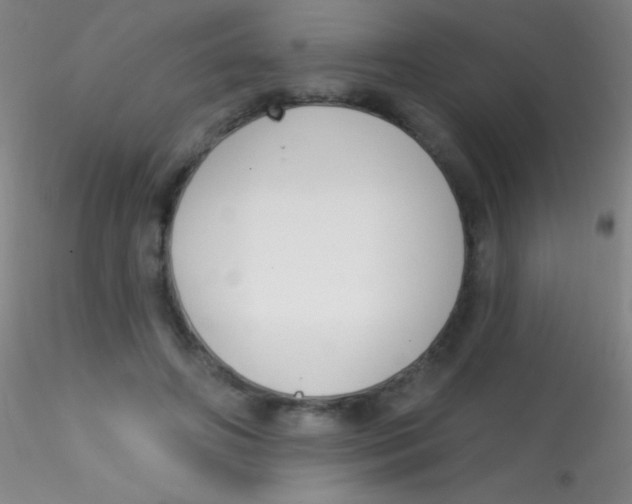 X0000115200498200911251446