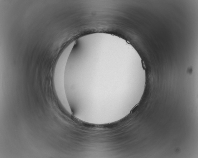 X0000115200499200911251446