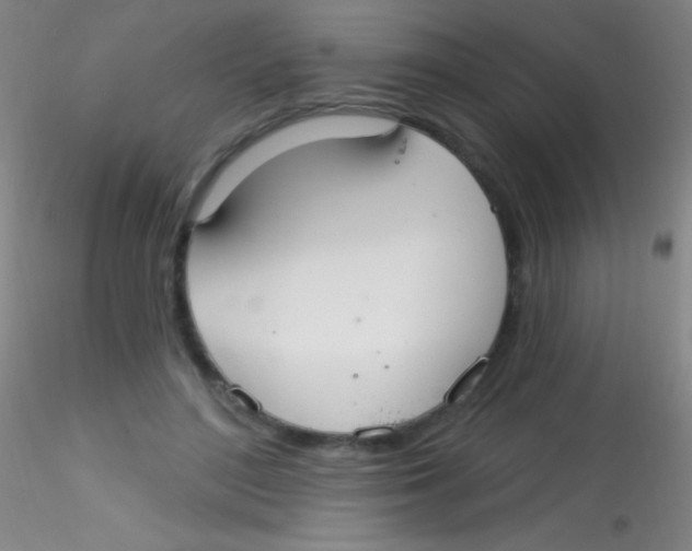 X0000115200500200911251446
