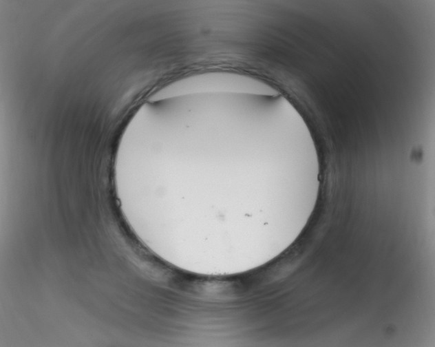 X0000115200501200911251446