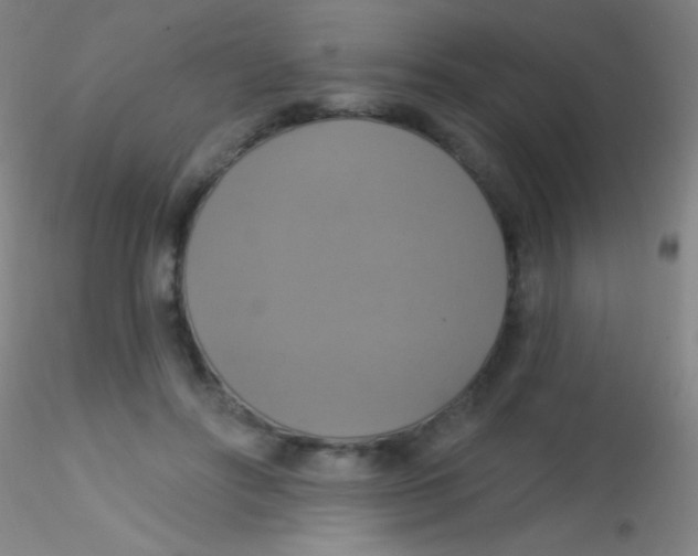 X0000115200502200911251446