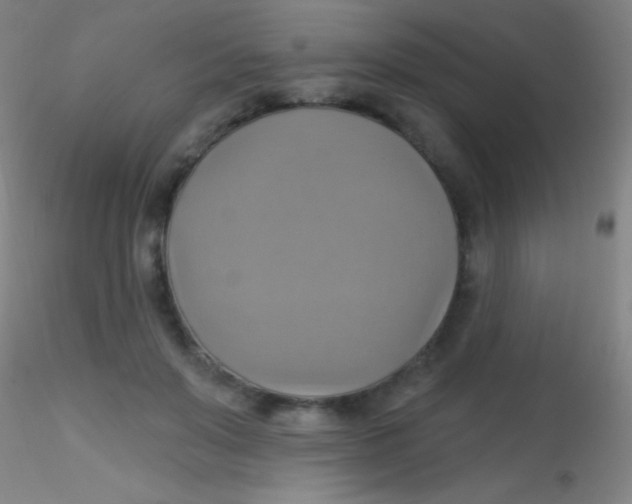 X0000115200503200911251446