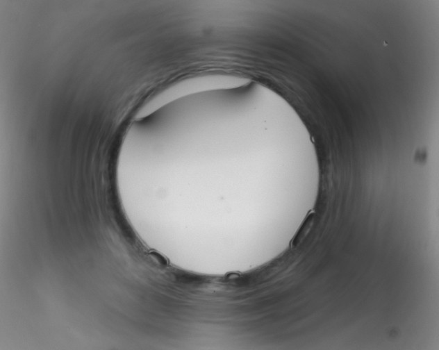 X0000115200504200911251446