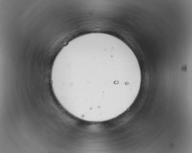 X0000115200505200911251446