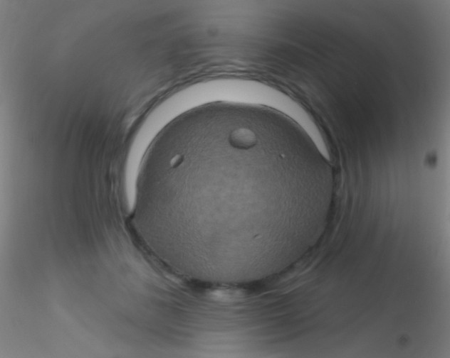 X0000115200508200911251446