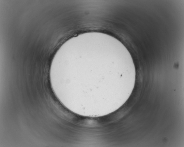 X0000115200509200911251446