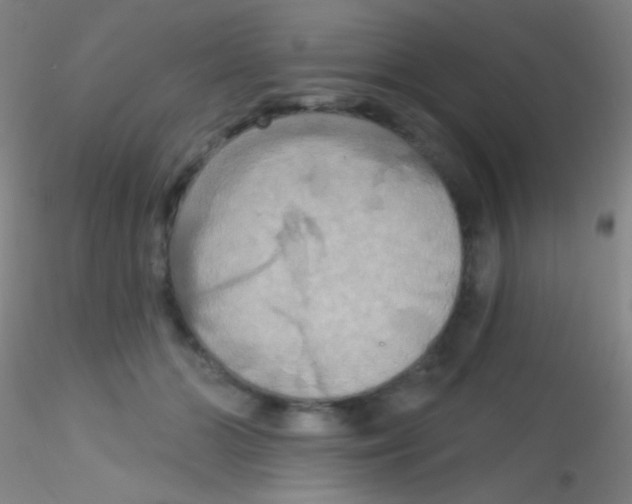 X0000115200510200911251446
