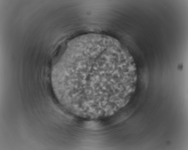 X0000115200511200911251446