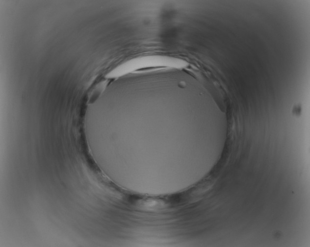 X0000115200512200911251446