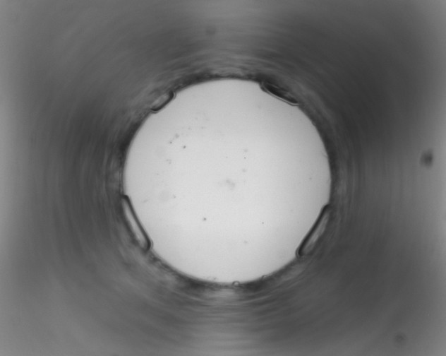 X0000115200513200911251446