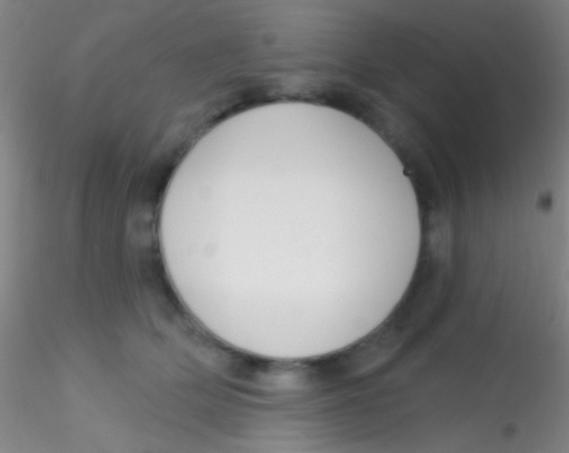 X0000115200514200911251446