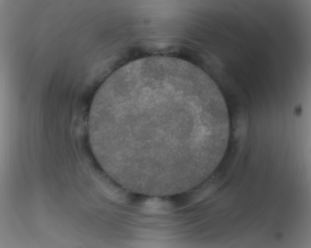 X0000115200515200911251446