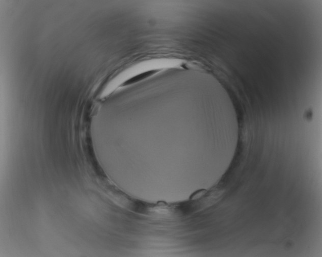 X0000115200516200911251446