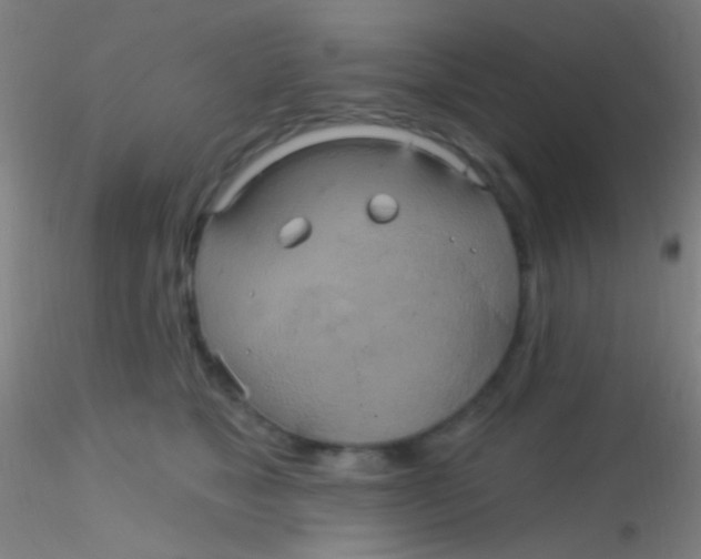 X0000115200517200911251446