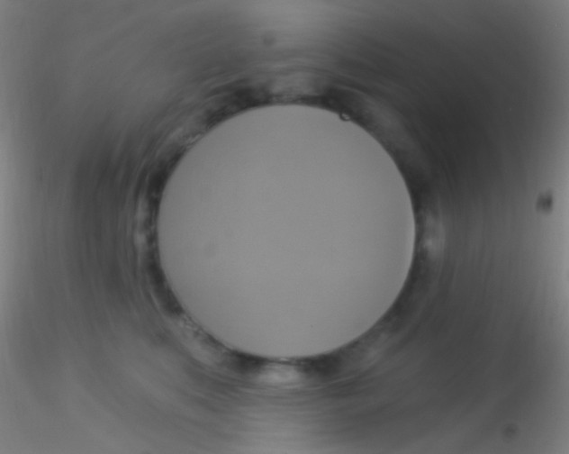 X0000115200519200911251446
