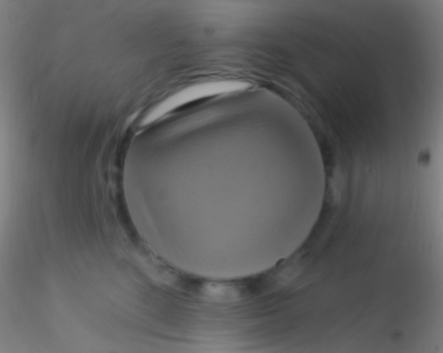 X0000115200520200911251446
