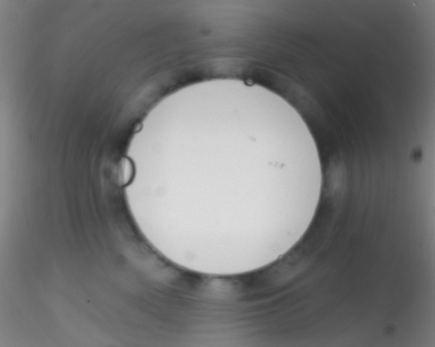 X0000115200522200911251446