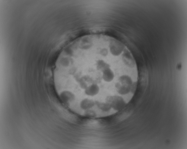 X0000115200523200911251446