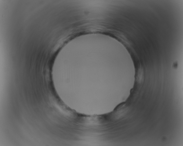 X0000115200524200911251446