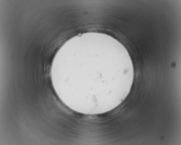 X0000115200525200911251446