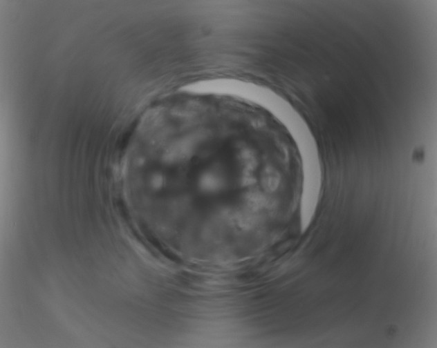 X0000115200527200911251446