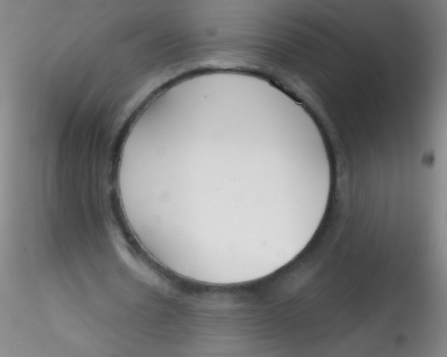 X0000115200530200911251445