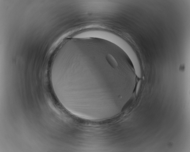 X0000115200531200911251445