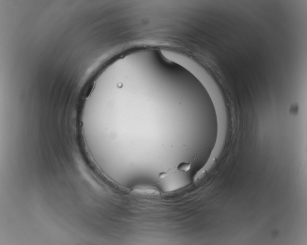 X0000115200534200911251445