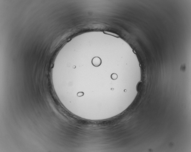 X0000115200538200911251445