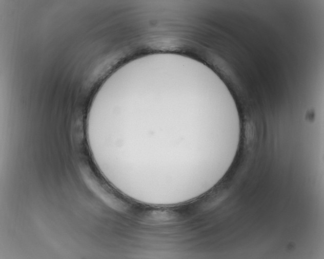 X0000115200541200911251445
