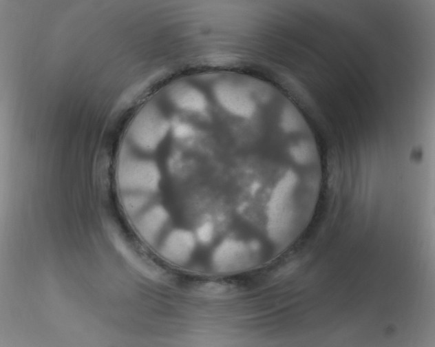 X0000115200542200911251445