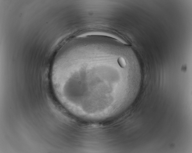 X0000115200543200911251445