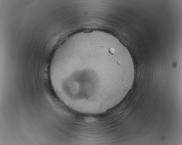 X0000115200547200911251445